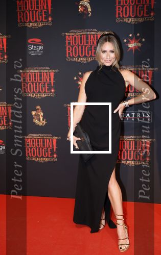 Utrecht 19 september 2024
Premiere Moulin Rouge in het Beatrix theater. Nikkie Plessen kwam met Sven Sauve