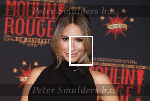 Utrecht 19 september 2024
Premiere Moulin Rouge in het Beatrix theater. Nikkie Plessen kwam met Sven Sauve