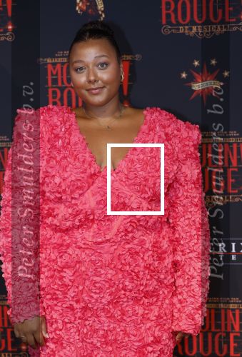 Utrecht 19 september 2024
Premiere Moulin Rouge in het Beatrix theater. noel v Kleef met Denzel von Daira