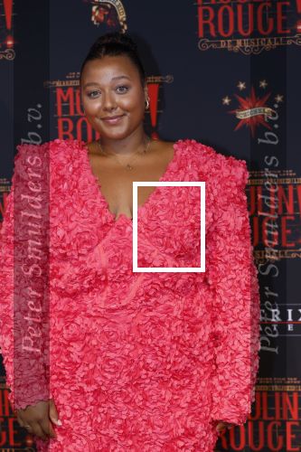 Utrecht 19 september 2024
Premiere Moulin Rouge in het Beatrix theater. noel v Kleef met Denzel von Daira