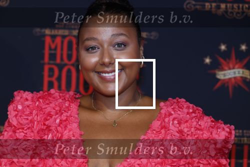 Utrecht 19 september 2024
Premiere Moulin Rouge in het Beatrix theater. noel v Kleef met Denzel von Daira