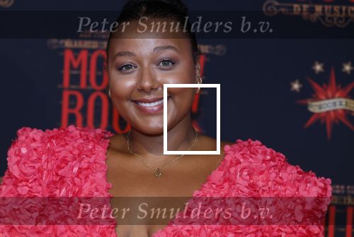 Utrecht 19 september 2024
Premiere Moulin Rouge in het Beatrix theater. noel v Kleef met Denzel von Daira