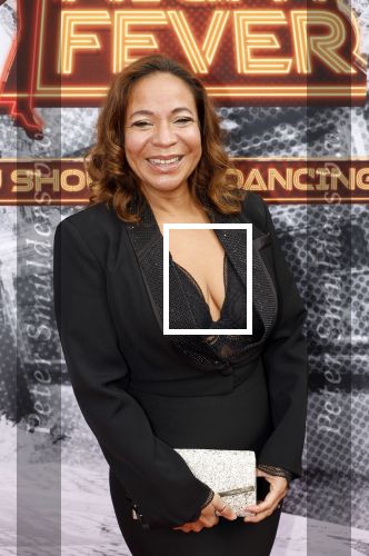 Den Bosch 29 september 2024
Premiere Saturday night fever in de Parade in Den Bosch . Nurlaila Kareem met een vriendin