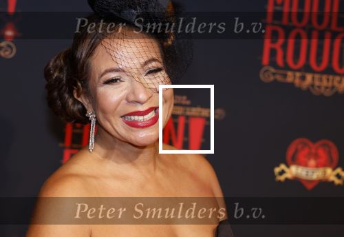 Utrecht 19 september 2024
Premiere Moulin Rouge in het Beatrix theater. Nurlaila Karim