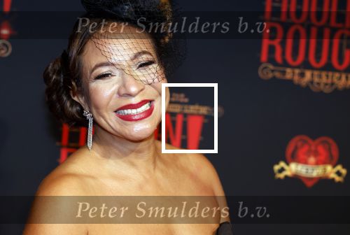Utrecht 19 september 2024
Premiere Moulin Rouge in het Beatrix theater. Nurlaila Karim