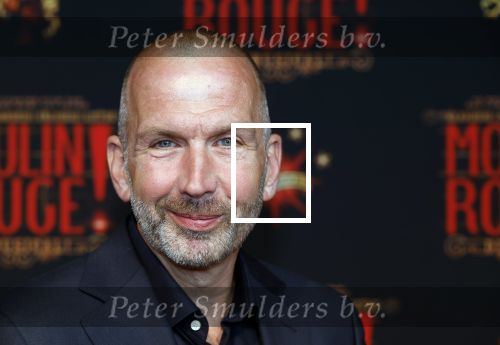 Utrecht 19 september 2024
Premiere Moulin Rouge in het Beatrix theater. Patrick Uphoff