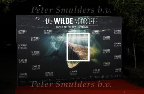Bloemendaal 4 september 2024
Premiere de wilde Noordzee .