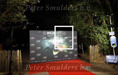 Bloemendaal 4 september 2024
Premiere de wilde Noordzee .