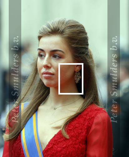 Den Haag 17 september 2024
Prinsjesdag 2024 met aanwezig namens de koninklijke familie , Koning Willem Alexander Koningin Maxima Prinses Amalia Prinses Alexia Prins Constantijn en Prinses Laurentien.