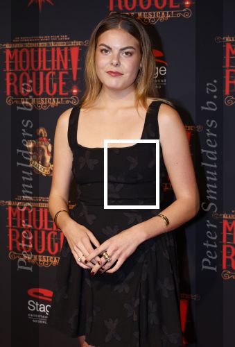 Utrecht 19 september 2024
Premiere Moulin Rouge in het Beatrix theater. Prinses Eloise kwam met twee vriendinnen
