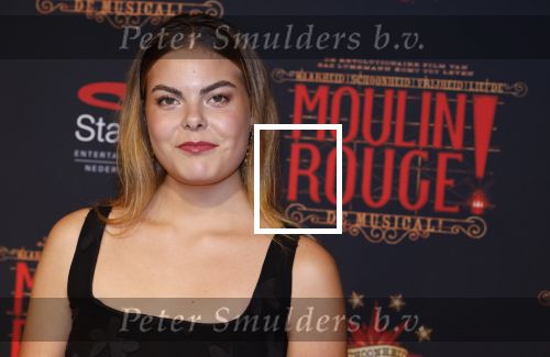 Utrecht 19 september 2024
Premiere Moulin Rouge in het Beatrix theater. Prinses Eloise kwam met twee vriendinnen