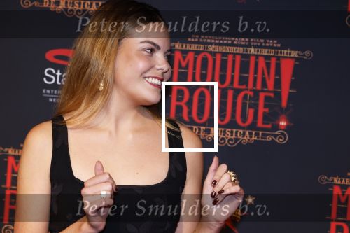 Utrecht 19 september 2024
Premiere Moulin Rouge in het Beatrix theater. Prinses Eloise kwam met twee vriendinnen
