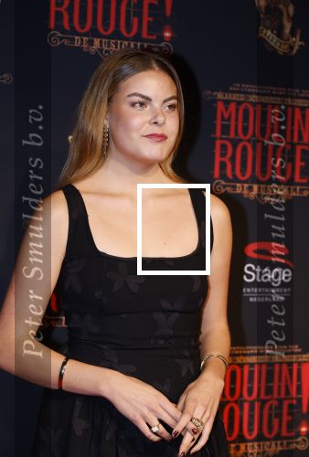 Utrecht 19 september 2024
Premiere Moulin Rouge in het Beatrix theater. Prinses Eloise kwam met twee vriendinnen