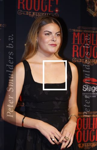 Utrecht 19 september 2024
Premiere Moulin Rouge in het Beatrix theater. Prinses Eloise kwam met twee vriendinnen