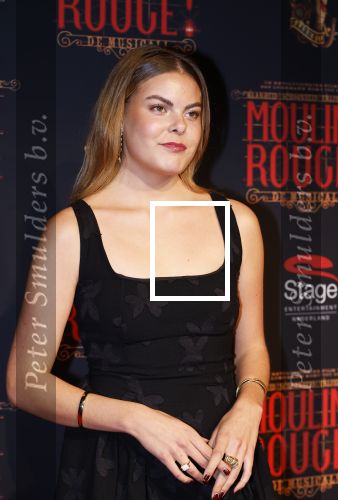 Utrecht 19 september 2024
Premiere Moulin Rouge in het Beatrix theater. Prinses Eloise kwam met twee vriendinnen