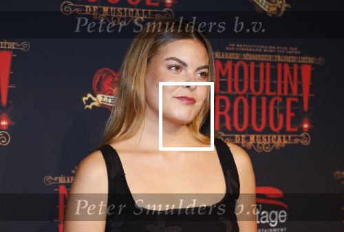 Utrecht 19 september 2024
Premiere Moulin Rouge in het Beatrix theater. Prinses Eloise kwam met twee vriendinnen