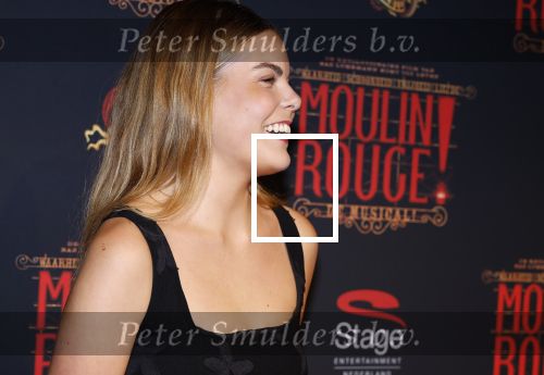 Utrecht 19 september 2024
Premiere Moulin Rouge in het Beatrix theater. Prinses Eloise kwam met twee vriendinnen