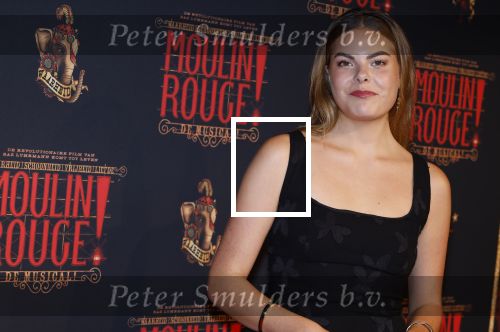 Utrecht 19 september 2024
Premiere Moulin Rouge in het Beatrix theater. Prinses Eloise kwam met twee vriendinnen