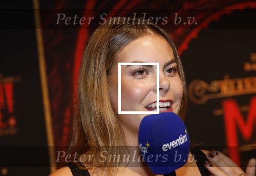 Utrecht 19 september 2024
Premiere Moulin Rouge in het Beatrix theater. Prinses Eloise kwam met twee vriendinnen