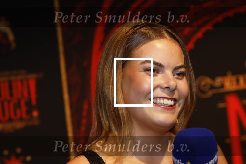 Utrecht 19 september 2024
Premiere Moulin Rouge in het Beatrix theater. Prinses Eloise kwam met twee vriendinnen