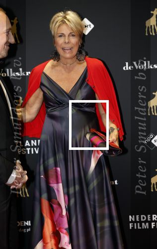 Utrecht 27 september 2024
Uitreiking gouden kalveren in de schouwburg van Utrecht. Prinses Laurentien