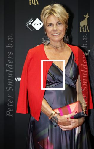 Utrecht 27 september 2024
Uitreiking gouden kalveren in de schouwburg van Utrecht. Prinses Laurentien