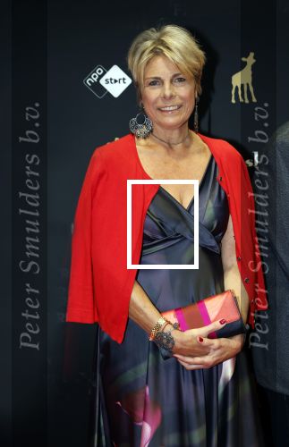 Utrecht 27 september 2024
Uitreiking gouden kalveren in de schouwburg van Utrecht. Prinses Laurentien