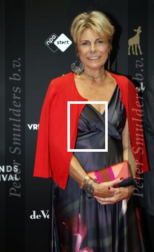 Utrecht 27 september 2024
Uitreiking gouden kalveren in de schouwburg van Utrecht. Prinses Laurentien