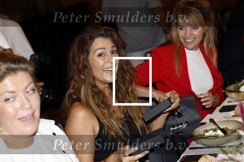 Amsterdam 9september 2024
Strong women award in hotel The Grand . Quinty Trustfull