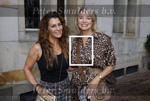 Amsterdam 9september 2024
Strong women award in hotel The Grand . Quinty Trustfull