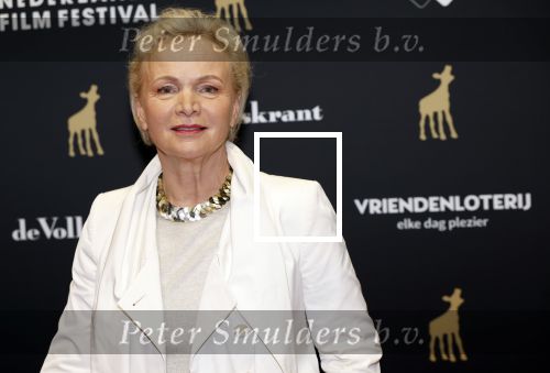 Utrecht 20 september 2024
Premiere Witte Flits tijdens de openings avond van de Filmdagen in Utrecht . Renee Soutendijk