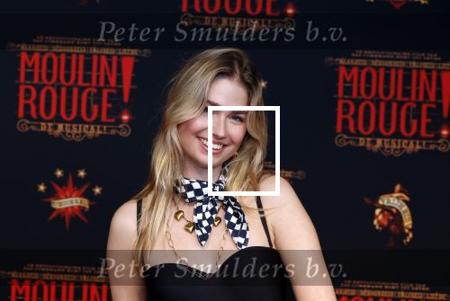 Utrecht 19 september 2024
Premiere Moulin Rouge in het Beatrix theater. Roxy Dekker