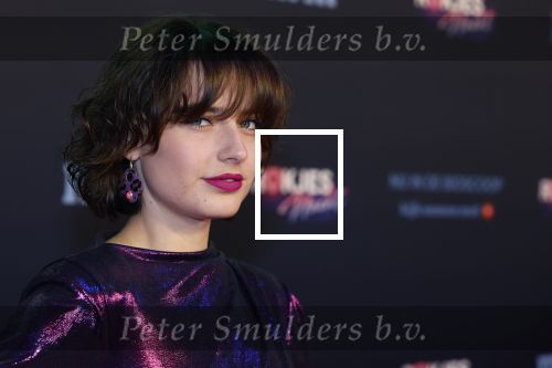 Den Bosch 28 september 2024
Premiere Rokjesdag in de Brabant hallen met in de cast oa Abbey Hoes, Leo Alkemade, Brigitte Heitzer, Lykele Muus, Bertrie Wierenga en Kiefer Zwart.Daarnaast zijn er onder meer rollen weggelegd voor Sinan Eroglu, Peter Bolhuis, Tineke Schouten, Patrick Martens en Maaike Martens. Sophie Bouquet