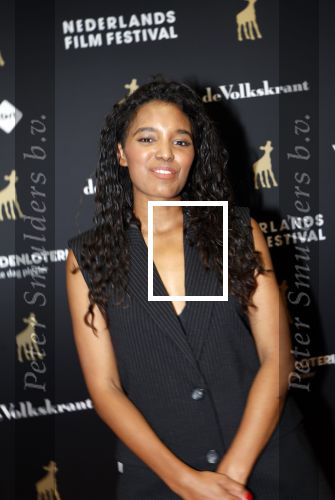 Utrecht 20 september 2024
Premiere Witte Flits tijdens de openings avond van de Filmdagen in Utrecht . Sosha Duysker