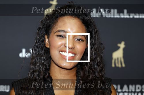 Utrecht 20 september 2024
Premiere Witte Flits tijdens de openings avond van de Filmdagen in Utrecht . Sosha Duysker