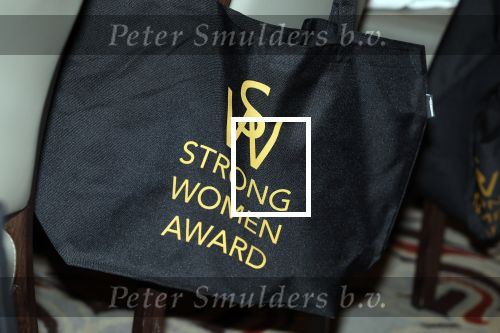 Amsterdam 9september 2024
Strong women award in hotel The Grand .