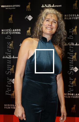Utrecht 20 september 2024
Premiere Witte Flits tijdens de openings avond van de Filmdagen in Utrecht . Tamar v d Dop