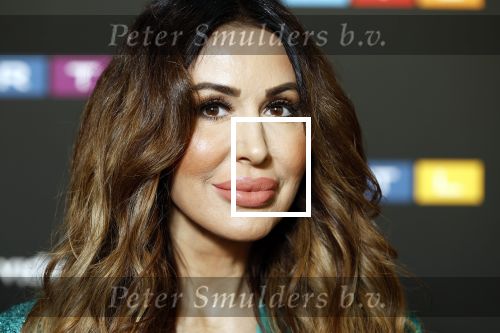 Schiphol 31 september 2024
Winterpresentatie RTL / Videoland in een tent achter Hotel v d Valk bij Schiphol . tamara Elbaz