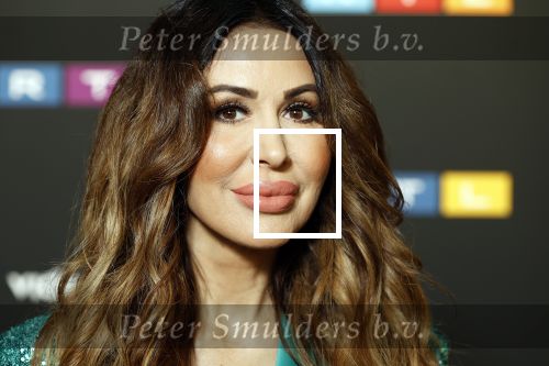 Schiphol 31 september 2024
Winterpresentatie RTL / Videoland in een tent achter Hotel v d Valk bij Schiphol . tamara Elbaz