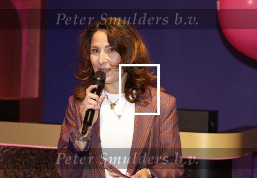 Amsterdam 11 september 2024
Fabulous Mama awards in All out in Amsterdam. Thea Tijssen