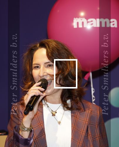 Amsterdam 11 september 2024
Fabulous Mama awards in All out in Amsterdam. Thea Tijssen