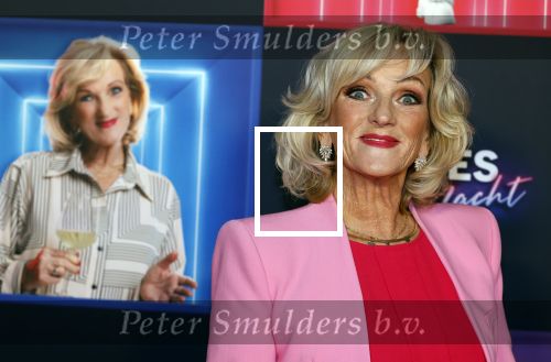 Den Bosch 28 september 2024
Premiere Rokjesdag in de Brabant hallen met in de cast oa Abbey Hoes, Leo Alkemade, Brigitte Heitzer, Lykele Muus, Bertrie Wierenga en Kiefer Zwart.Daarnaast zijn er onder meer rollen weggelegd voor Sinan Eroglu, Peter Bolhuis, Tineke Schouten, Patrick Martens en Maaike Martens.
