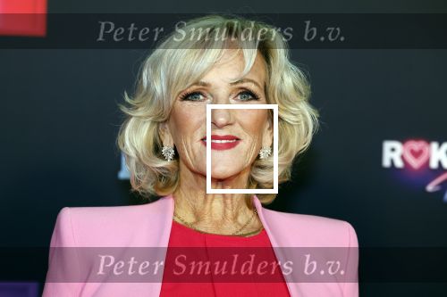 Den Bosch 28 september 2024
Premiere Rokjesdag in de Brabant hallen met in de cast oa Abbey Hoes, Leo Alkemade, Brigitte Heitzer, Lykele Muus, Bertrie Wierenga en Kiefer Zwart.Daarnaast zijn er onder meer rollen weggelegd voor Sinan Eroglu, Peter Bolhuis, Tineke Schouten, Patrick Martens en Maaike Martens.