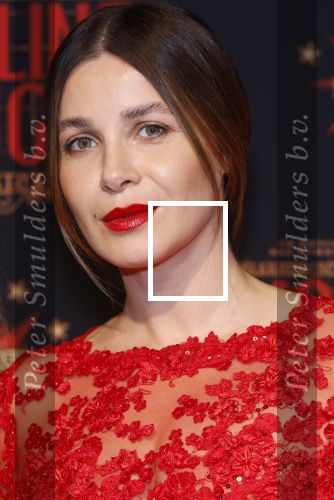 Utrecht 19 september 2024
Premiere Moulin Rouge in het Beatrix theater. Victoria Koblenko kwam met een vriendin