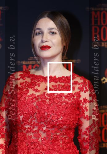Utrecht 19 september 2024
Premiere Moulin Rouge in het Beatrix theater. Victoria Koblenko kwam met een vriendin