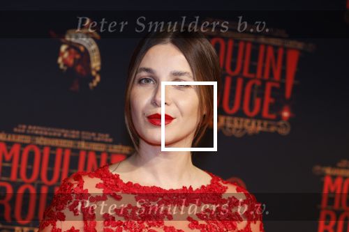 Utrecht 19 september 2024
Premiere Moulin Rouge in het Beatrix theater. Victoria Koblenko kwam met een vriendin