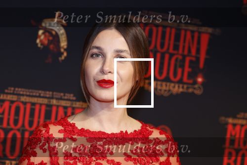 Utrecht 19 september 2024
Premiere Moulin Rouge in het Beatrix theater. Victoria Koblenko kwam met een vriendin
