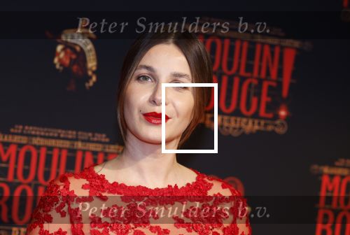 Utrecht 19 september 2024
Premiere Moulin Rouge in het Beatrix theater. Victoria Koblenko kwam met een vriendin