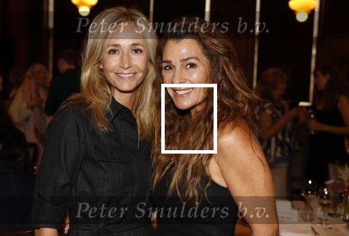 Amsterdam 9september 2024
Strong women award ik hotel The Grand .
Wendy v Dijk krijgt de award.,