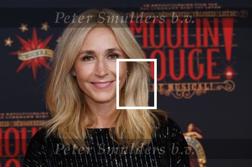 Utrecht 19 september 2024
Premiere Moulin Rouge in het Beatrix theater. Wendy v Dijk met een vriendin